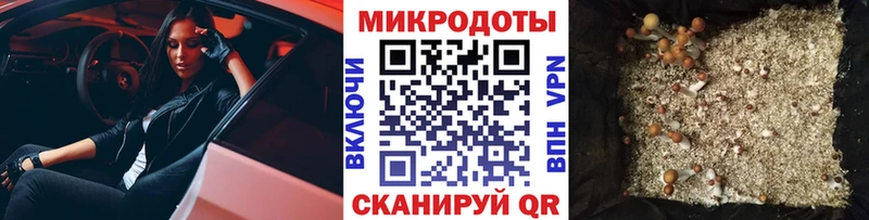 Галлюциногенные грибы ЛСД  купить наркотики сайты  Унеча 